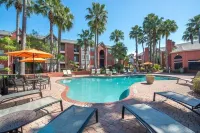 Brand New 1BR in the heart of Houston Med Center