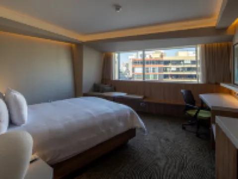 希爾頓花園酒店-利馬米拉弗洛雷斯 利馬酒店