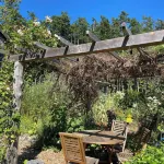 Bright art-filled home, fruit trees, valley view