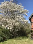 Vacation apartment in the Rundling Hotels in der Nähe von Kamrad