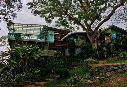 드래건플라이 란츠 호나우나우-나푸푸