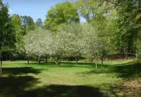 Martin Van Buren historical Log cabin