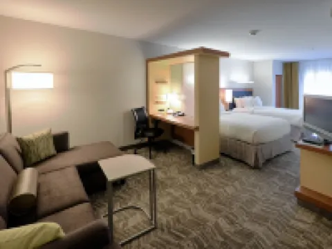 スプリングヒル・スイート・バイ・マリオット・アルバニー - コロニー コロニーのホテル