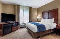 Comfort Suites Hotels in Manchester