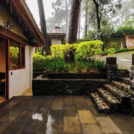 Forest Guesthouse Avándaro
