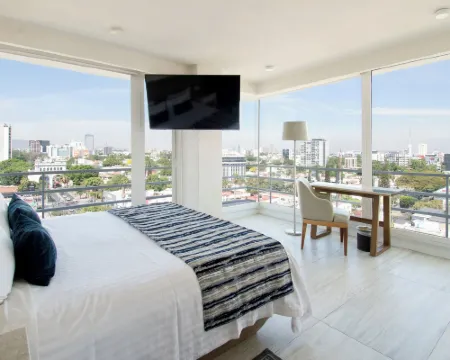 ホテル ヴェルヴェット プラザ グアダラハラのホテル