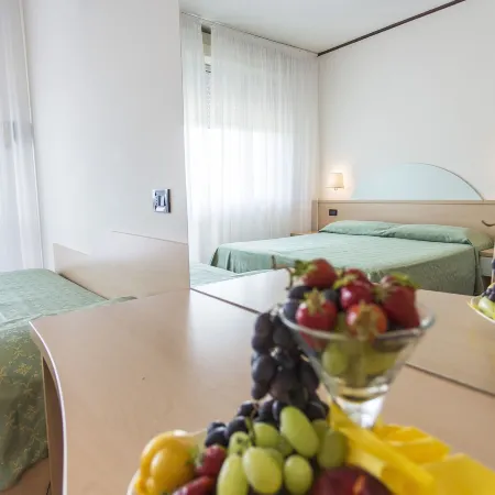 Hotel Europa