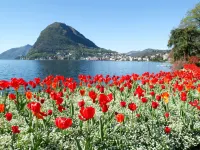 Residenza Castello - Happy Rentals Hotels in Mendrisio