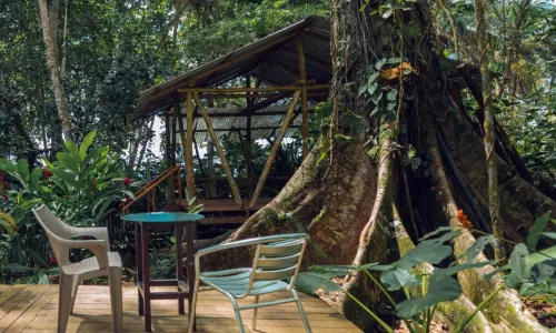 Faith Glamping Dome Costa Rica