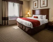Comfort Suites Stafford Near Sugarland