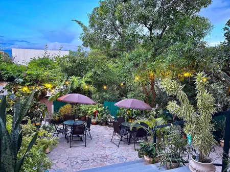 Helechos Hotel Отели в г. Комаягуа