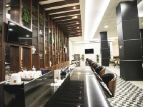 Transamerica Executive Maringá Hotels in Maringa