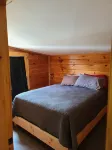 Cozy Modern Cabin