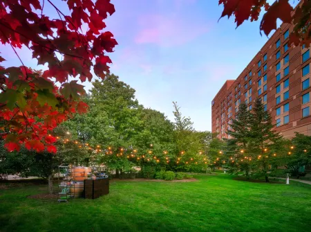 Hilton Boston Logan Airport Отели рядом с достопримечательностью «Фанеил Холл Маркетплас»