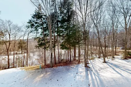 Charming mountainside condo with fireplace, skiing, balcony, & washer/dryer Отели в г. Бристоль