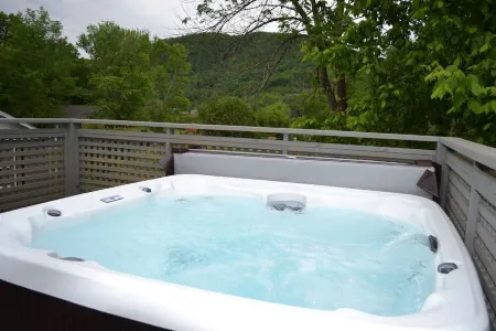 Delightful 2-bedroom Cottage in Hot Springs