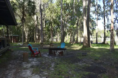 Rainbow Ranch Cabins Отели в г. Даннеллон