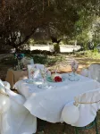Uitspan Guestfarm - Ramah Hewan Peliharaan