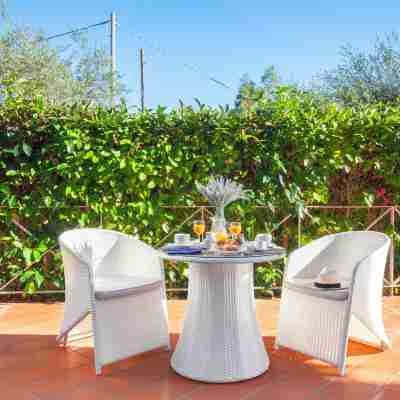 Atlantic Palace Hotel Hotel Exterior