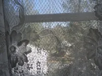 Franklin Terrace Bed and Breakfast Hotels in Franklin