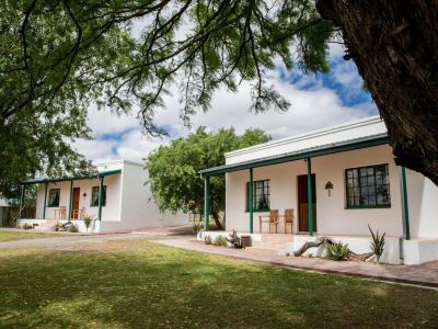 Olive Grove Guest Farm