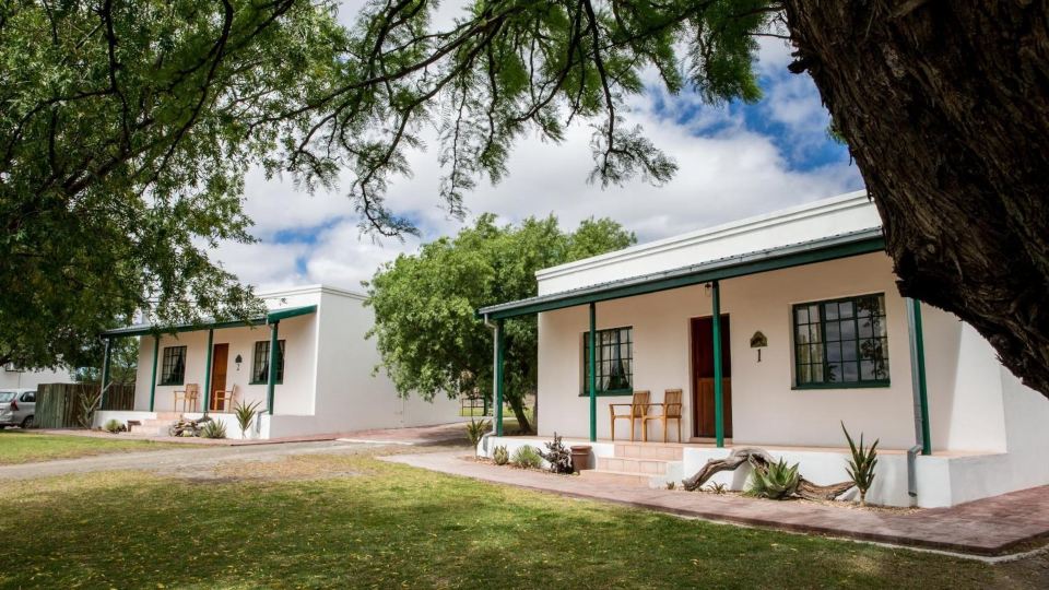 Olive Grove Guest Farm