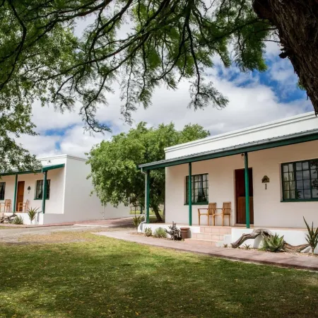 Olive Grove Guest Farm
