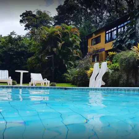 Bromélia Sabiá & Cia