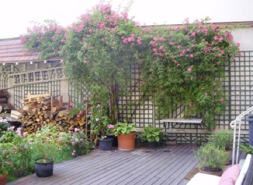 Villa Escudier Appart-hôtel