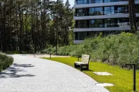Art Forrest 33 K in Rogowo