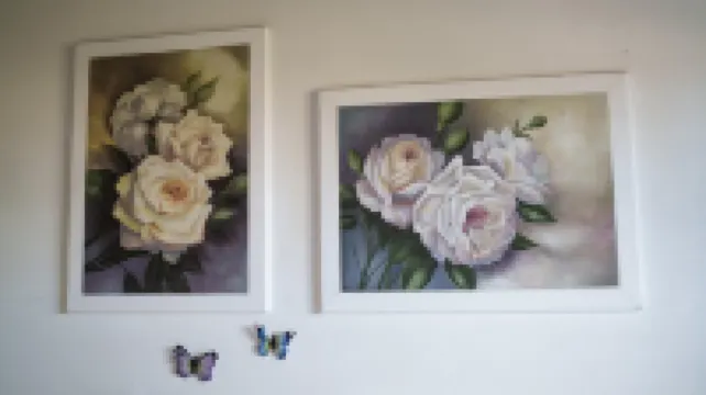 塔納烏內拉的Armonia