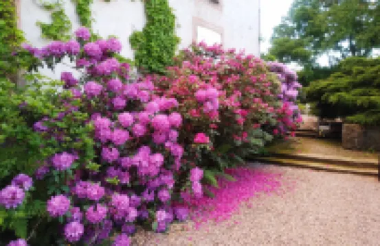 修道院家庭旅館旅館