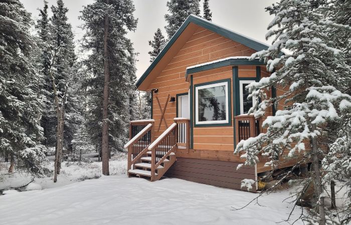 Denali Wild Stay