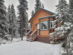 Denali Wild Stay - Muskrat Cabin, Private, Free Wifi, Free Parking, Sleep 4
