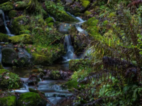 Robin Hood Tower Hotels in Matlock