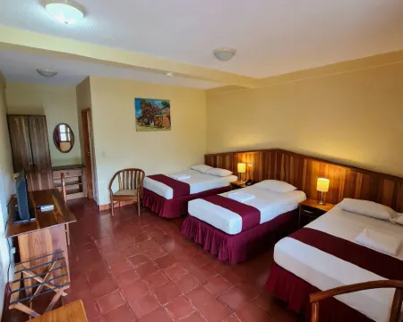 Hotel Austria Hotels in Leon