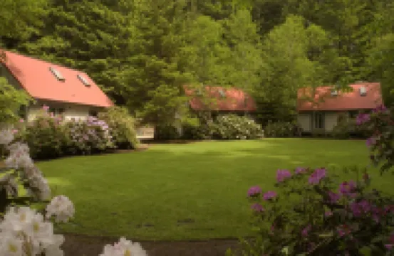 Steamboat Inn فنادق في 