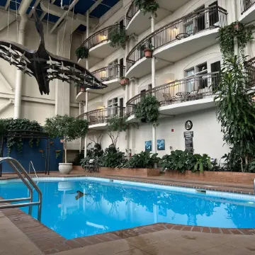 Hotel l'Oie des Neiges