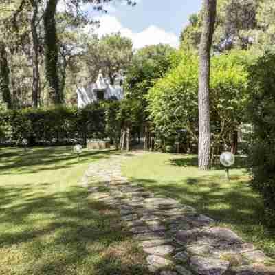 Villa Biancospini, , le Case di Aurelia Guesthouse Hotel Exterior