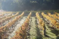 Twisted Gum Vineyard Cottage Hotels in Ballandean