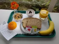 Mohua Motels فنادق في Pohara