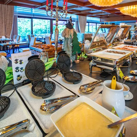Ahorn Harz Hotel Braunlage