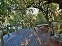Sibuya Game Reserve and Lodge Hotels in Port Alfred