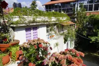 Cocina Mitho Chha Bnb - Bed and Breakfasts