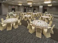 Hyatt Place Detroit/Novi Hotels in Нові