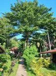 Baan Long Beach