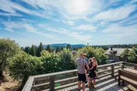 Torfhaus Harzresort GmbH - Bergblick
