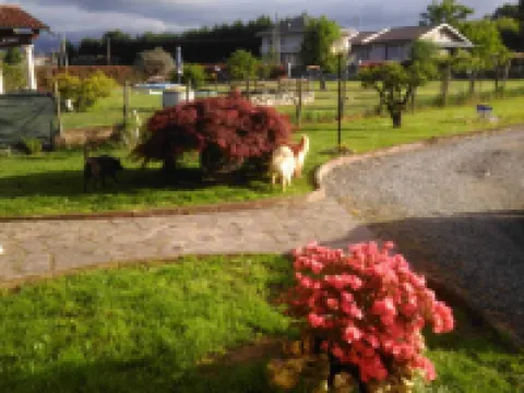 Gli Angeli B&B Hotels in Candelo