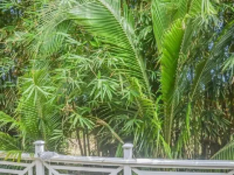 Bamboo Villa Hoteles en Priory