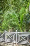 Bamboo Villa
